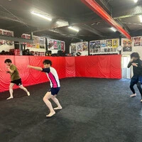 画像239