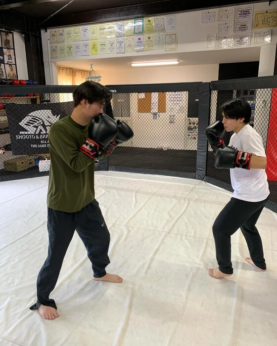 画像287